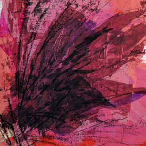 mohnblume detail 1