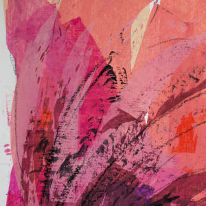 mohnblume detail 4