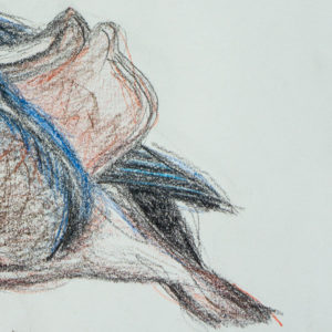 detail 3 of mandarin duck drawing